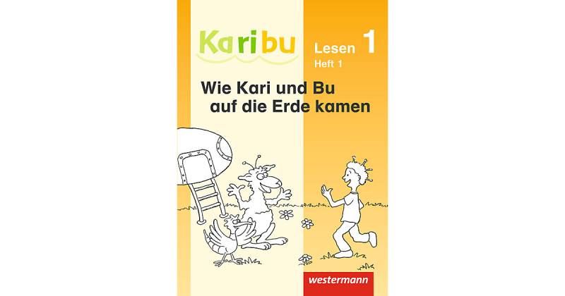 Buch - 20 Lesehefte 1. Klasse von Westermann Verlag