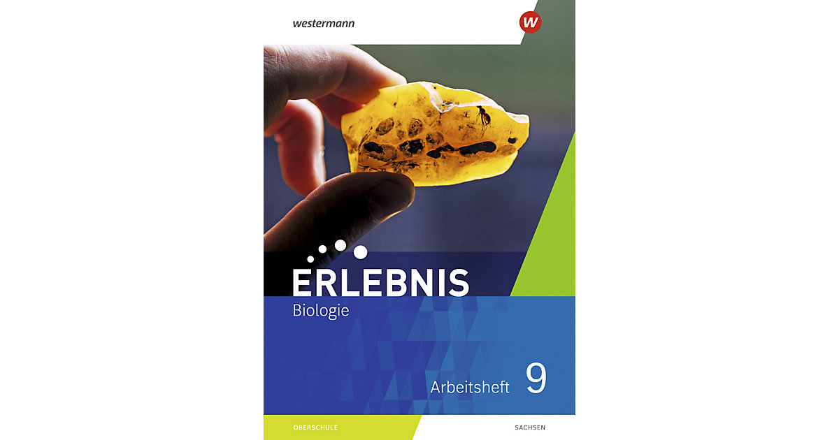 Buch - Erlebnis Biologie - Ausgabe 2020 Sachsen  Kinder von Westermann Verlag