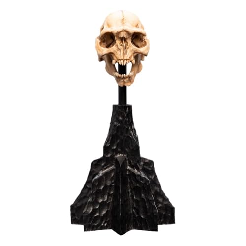 Weta Workshop - Herr der Ringe Mini Statue Skull of a Moria Orc 13 cm Weta Workshop - Herr der Ringe Mini Statue Skull of a Moria Orc 13 cm von Weta Collectibles