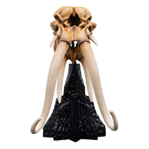 Weta Workshop Herr der Ringe Mini Statue Skull of a Mumak 15 cm Weta Workshop Herr der Ringe Mini Statue Skull of a Mumak 15 cm von Weta Workshop