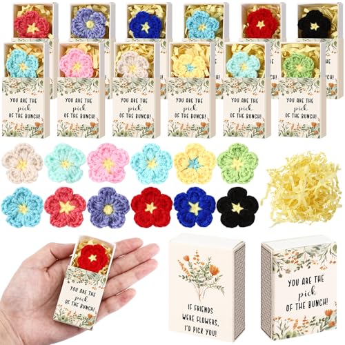 Wettarn 12 Sets Abschluss Freunde Geschenke Handgemachte gehäkelte Blumen mit Streichholz-Aufbewahrungsbox Geschenk Geburtstagsgeschenk für Frauen Freundschaft Beste Freunde BFF Geschenke Muttertag Wettarn 12 Sets Abschluss Freunde Geschenke Handgemachte gehäkelte Blumen mit Streichholz-Aufbewahrungsbox Geschenk Geburtstagsgeschenk für Frauen Freundschaft Beste Freunde BFF Geschenke Muttertag von Wettarn