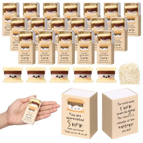 Wettarn 36 Sets Wertschätzung Marshmallow-Geschenke, niedliche Stressbälle mit Dankeschön-Geschenkboxen, S'more Partygeschenke für Mitarbeiter, Kollegen, Freunde, Büro, positive Entlastungsspielzeug von Wettarn