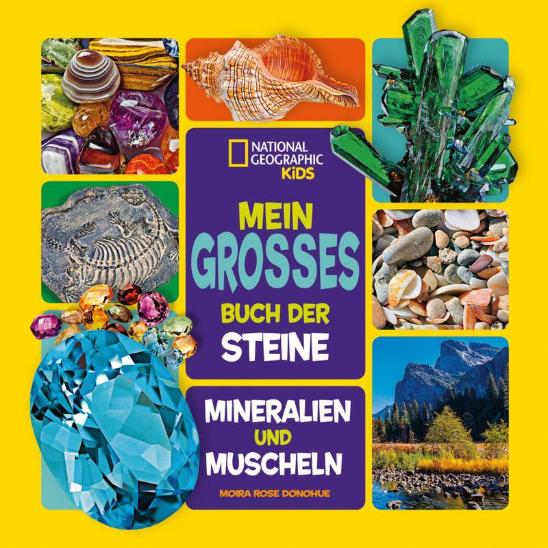 Mein großes Buch der Steine, Mineralien und Muscheln von White Star