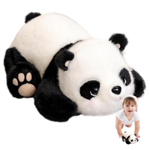 Whnbuij Panda Plüsch Panda Plüsch | Wunderschöner Pandabär Plüsch Kissen | Kuschelig süßes sensorisches Spielzeug für Tiere Fidget für Schüler von Whnbuij