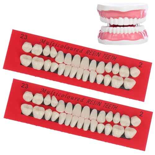Whyzsjnclg 2 Zahnreparatur Kit einstellen 56 Harzpcs Gefälschte Zähne für vorübergehende Verwendung. Whyzsjnclg 2 Zahnreparatur Kit einstellen 56 Harzpcs Gefälschte Zähne für vorübergehende Verwendung. von Whyzsjnclg