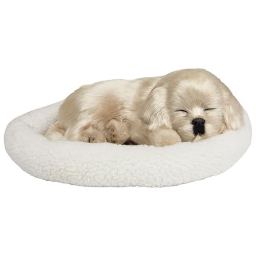 Whyzsjnclg Atemgefüllte Tier, atmungsgefüllte Tier, süße schlafende Hunde auf Pad Dog, batteriebetriebene Kinder Geschenke, Beige, Beige Whyzsjnclg Atemgefüllte Tier, atmungsgefüllte Tier, süße schlafende Hunde auf Pad Dog, batteriebetriebene Kinder Geschenke, Beige, Beige von Whyzsjnclg