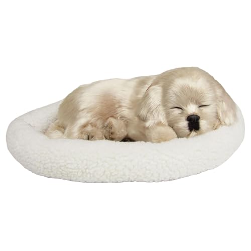 Whyzsjnclg Atemplüsch, Atemgefüllte Tier, süße schlafende Hunde auf Pad Dog, batteriebetriebene Kindergeschenke, Beige, beige Whyzsjnclg Atemplüsch, Atemgefüllte Tier, süße schlafende Hunde auf Pad Dog, batteriebetriebene Kindergeschenke, Beige, beige von Whyzsjnclg