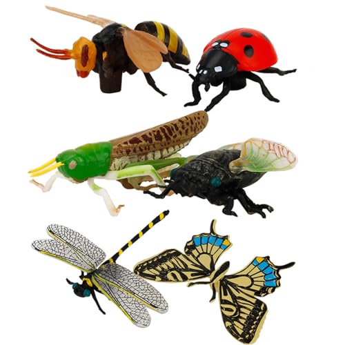 Whyzsjnclg Plastikwanze, Insektenspielzeug 6PCs Verschiedene realistische Plastikfehlerbugs umfassen Schmetterling, Libelle, Ladybird für Kinder Whyzsjnclg Plastikwanze, Insektenspielzeug 6PCs Verschiedene realistische Plastikfehlerbugs umfassen Schmetterling, Libelle, Ladybird für Kinder von Whyzsjnclg