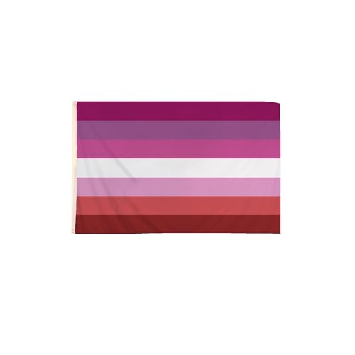 WickedFun® Deluxe Gay Pride Kostüm-Accessoire, Regenbogenhüte, Schmuck, LGBT-Parade, Party, Lot UK (Lesbische Flagge, 152 x 91 cm) von WickedFun