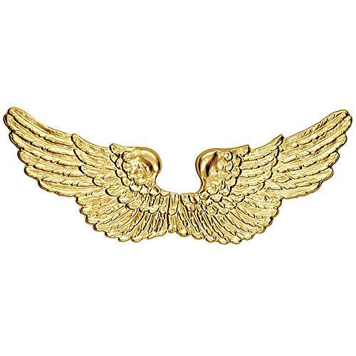 Widmann 2037P - Engelsflügel, gold, für Kinder, aus Kunststoff, Unisex, Engel, Krippenspiel, Weihnachten, Kostüm, Fasching, Karneval, Mottoparty von WIDMANN