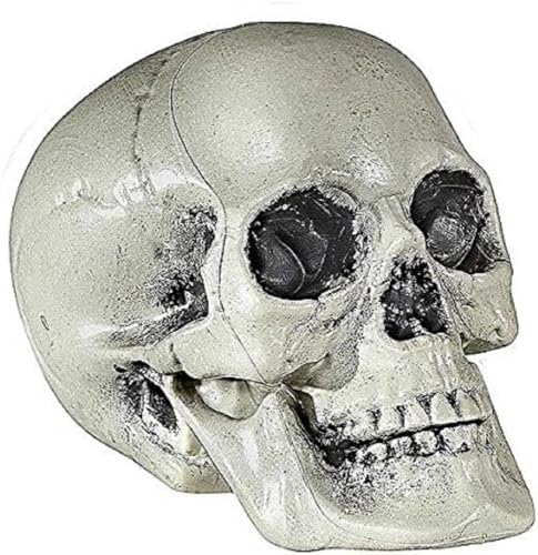 W WIDMANN MILANO Party Fashion 01379 - Totenkopf aus Plastik, 21 cm, Partydekoration, Halloween, Karneval, Mottoparty von WIDMANN MILANO PARTY FASHION