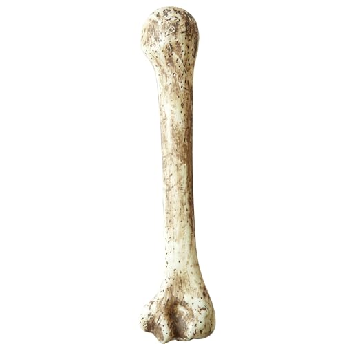 Widmann 2295T, Knochen prehistorisch ca. 39,0 cm lang, Zubehör für Halloween, Karneval oder Fasching von Widmann