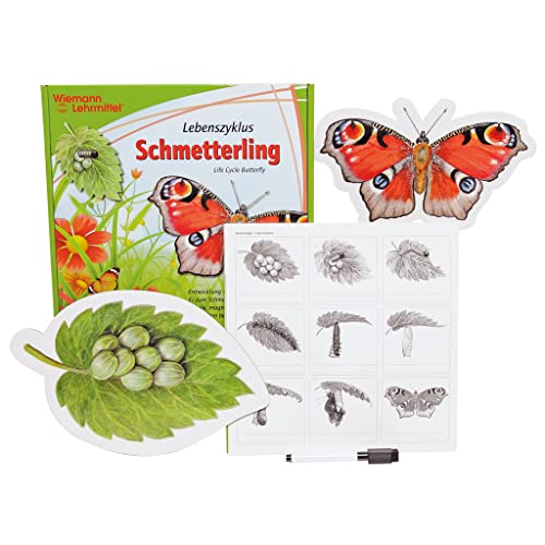 Vom Ei zum Schmetterling, Lebenszyklus "Schmetterling" 9- Magnetteile | Wiemann Lehrmittel von Wiemann Lehrmittel