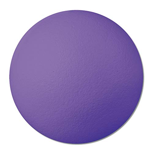 Wiemann Lehrmittel Softball 21 cm zum Spielen, 200 g, Sehr weich, wasserfest (Violett) von Wiemann Lehrmittel
