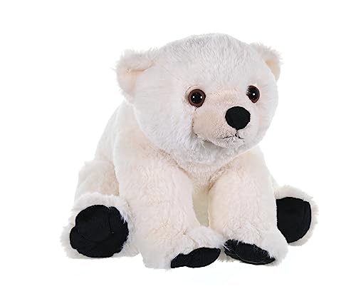 Wild Republic Cuddlekins Eisbär Baby, Stofftier, Baby-Geschenk für Mädchen und Jungen, Kinder Plüschtier, Kuscheltier Für Babys, Spielzeug aus Recyclingmaterial, 30 cm Wild Republic Cuddlekins Eisbär Baby, Stofftier, Baby-Geschenk für Mädchen und Jungen, Kinder Plüschtier, Kuscheltier Für Babys, Spielzeug aus Recyclingmaterial, 30 cm von WILD REPUBLIC