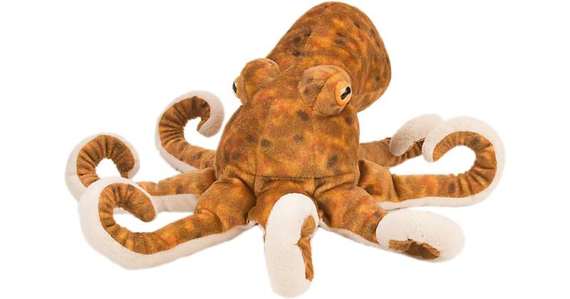 "CK OCTOPUS 12""" von Wild Republic