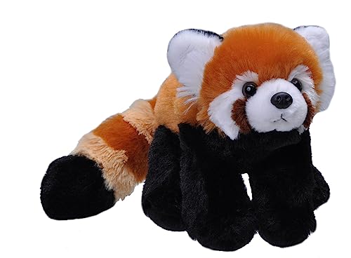Wild Republic 10876 Republic Plüsch Roter Panda, Cuddlekins Kuscheltier, Plüschtier, 20cm Wild Republic 10876 Republic Plüsch Roter Panda, Cuddlekins Kuscheltier, Plüschtier, 20cm von WILD REPUBLIC