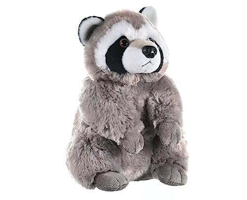 Wild Republic 10911 Republic 10943 Plüsch Waschbär, Cuddlekins Kuscheltier, Plüschtier, 30 cm Wild Republic 10911 Republic 10943 Plüsch Waschbär, Cuddlekins Kuscheltier, Plüschtier, 30 cm von WILD REPUBLIC