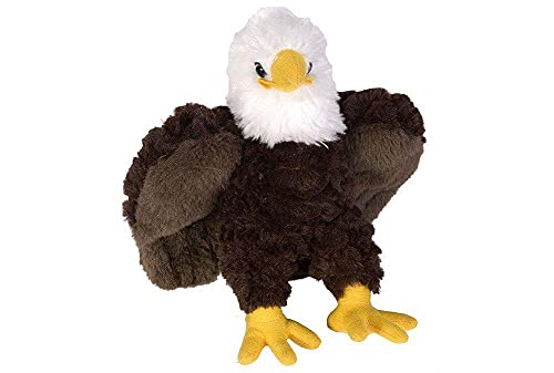 Wild Republic 11015 11497 Plüsch Adler, Cuddlekins Mini Kuscheltier, Stofftier 20 cm, Multi, Weißkopfseeadler von WILD REPUBLIC