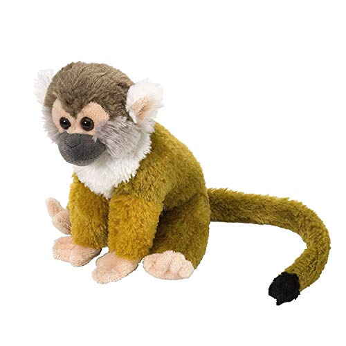 Wild Republic 11912 Plüsch Totenkopfäffchen Cuddlekins Kuscheltier, Plüschtier, 20cm von WILD REPUBLIC