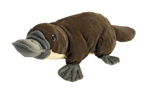 Wild Republic Schnabeltier, Cuddlekins, Stofftier, Baby-Geschenk für Mädchen und Jungen, Kinder Plüschtier, Kuscheltier Für Babys, Spielzeug aus Recyclingmaterial, 30 cm, 12" von WILD REPUBLIC