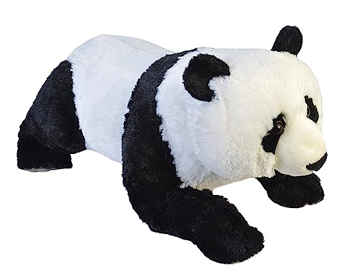 Wild Republic 19549 Jumbo Plüsch Kleiner Panda, großes Kuscheltier, Plüschtier, Cuddlekins, 76 cm Wild Republic 19549 Jumbo Plüsch Kleiner Panda, großes Kuscheltier, Plüschtier, Cuddlekins, 76 cm von WILD REPUBLIC