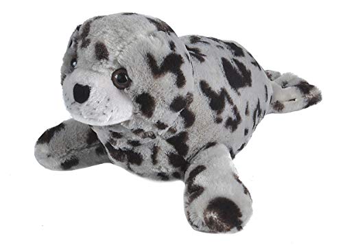 Wild Republic 22482 Republic Plüsch Seehund, Cuddlekins Kuscheltier, Plüschtier, 30cm, Hafensiegel von WILD REPUBLIC