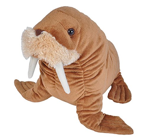 Wild Republic Cuddlekins Walross, Stofftier, Baby-Geschenk für Mädchen und Jungen, Kinder Plüschtier, Kuscheltier Für Babys, Spielzeug aus Recyclingmaterial, 30 cm Wild Republic Cuddlekins Walross, Stofftier, Baby-Geschenk für Mädchen und Jungen, Kinder Plüschtier, Kuscheltier Für Babys, Spielzeug aus Recyclingmaterial, 30 cm von WILD REPUBLIC