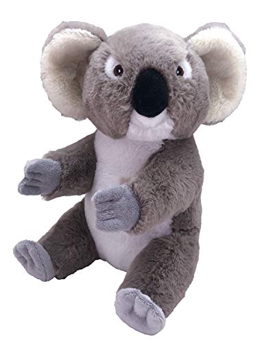 Wild Republic Ecokins Koala, Kuscheltier aus Stoff, Nachhaltiges Spielzeug, Baby Geschenk zur Geburt von Jungen und Mädchen, Stofftier 30 cm von Wild Republic