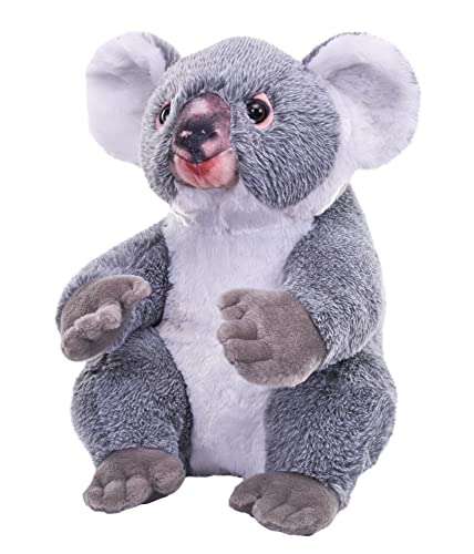 Wild Republic Artist Collection Koala, Geschenk für Kinder, 38 cm, Plüschtier, Füllmaterial besteht aus versponnenen recycelten Wasserflaschen von Wild Republic