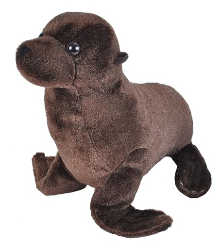 Wild Republic Cuddlekins Eco Mini Seelöwe, Plüschtier, 20 cm, Plüschspielzeug, Füllung besteht aus recycelten Wasserflaschen, umweltfreundlich Wild Republic Cuddlekins Eco Mini Seelöwe, Plüschtier, 20 cm, Plüschspielzeug, Füllung besteht aus recycelten Wasserflaschen, umweltfreundlich von WILD REPUBLIC