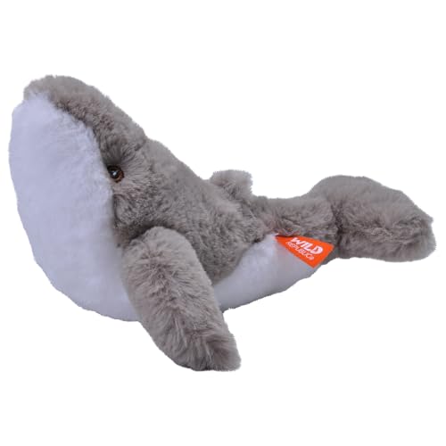 Wild Republic Ecokins Mini Buckelwal, Kuscheltier aus Stoff, Nachhaltiges Spielzeug, Baby Geschenk zur Geburt von Jungen und Mädchen, Stofftier 20 cm Wild Republic Ecokins Mini Buckelwal, Kuscheltier aus Stoff, Nachhaltiges Spielzeug, Baby Geschenk zur Geburt von Jungen und Mädchen, Stofftier 20 cm von WILD REPUBLIC