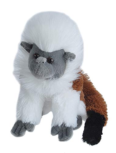 Wild Republic 12277 Plüsch, braun-weiß, 30 cm, Cottontop Tamarin Wild Republic 12277 Plüsch, braun-weiß, 30 cm, Cottontop Tamarin von WILD REPUBLIC