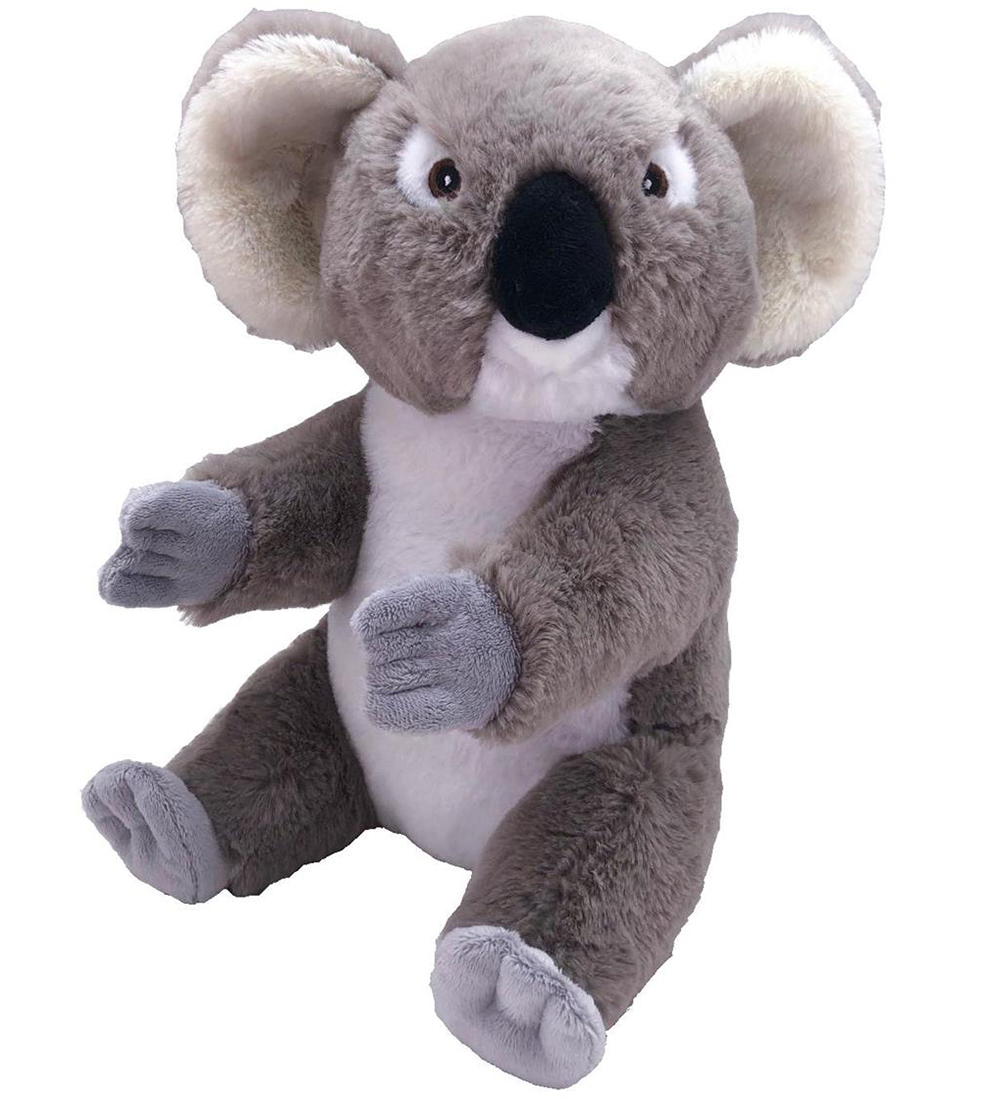 Wild Republic Kuscheltier - Ecokins - 16x26 - Koala - Wild Republic - One Size - Kuscheltiere Wild Republic Kuscheltier - Ecokins - 16x26 - Koala - Wild Republic - One Size - Kuscheltiere von Wild Republic