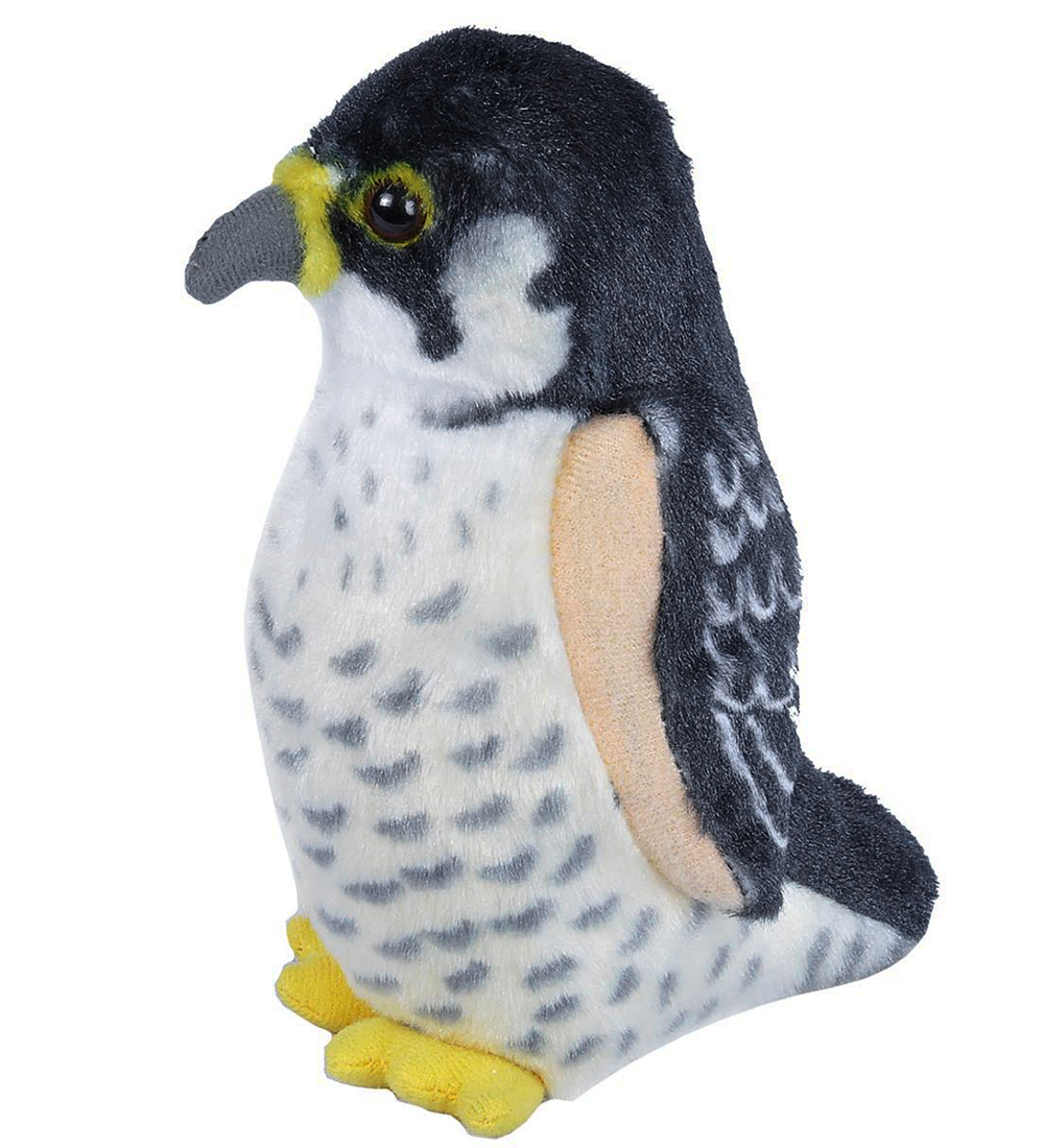 Wild Republic Kuscheltier m. Sound - Audobon Birds - 8x16 - Falk - Wild Republic - One Size - Kuscheltiere Wild Republic Kuscheltier m. Sound - Audobon Birds - 8x16 - Falk - Wild Republic - One Size - Kuscheltiere von Wild Republic