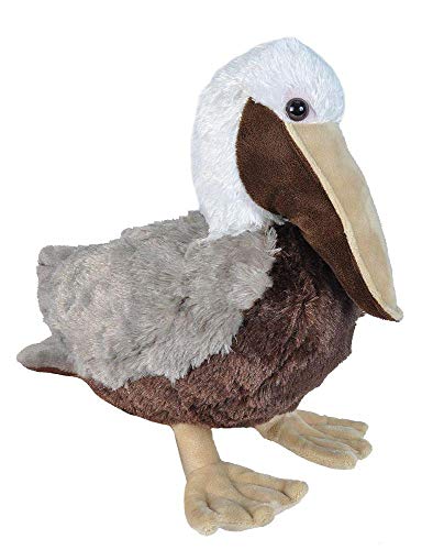Wild Republic Plüsch Brauner Pelikan, Cuddlekins Kuscheltier, Plüschtier, 30cm Wild Republic Plüsch Brauner Pelikan, Cuddlekins Kuscheltier, Plüschtier, 30cm von WILD REPUBLIC