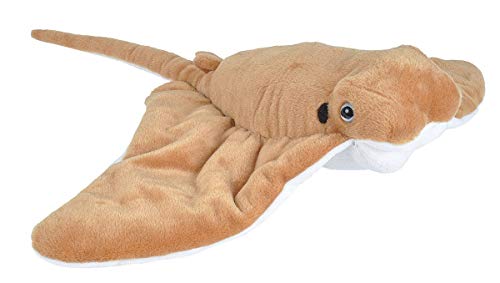 Wild Republic Cuddlekins Kuhnasenrochen, Stofftier, Baby-Geschenk für Mädchen und Jungen, Kinder Plüschtier, Kuscheltier Für Babys, Spielzeug aus Recyclingmaterial, 30 cm Wild Republic Cuddlekins Kuhnasenrochen, Stofftier, Baby-Geschenk für Mädchen und Jungen, Kinder Plüschtier, Kuscheltier Für Babys, Spielzeug aus Recyclingmaterial, 30 cm von WILD REPUBLIC