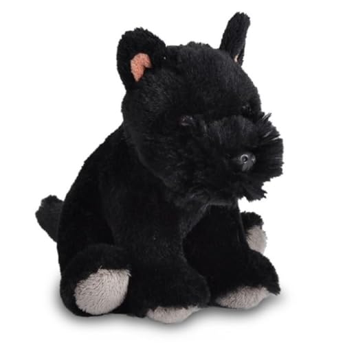 Wild Republic Pocketkins Eco Schottischer Terrier, Plüschtier, 12 cm, Plüschspielzeug, Hergestellt aus recycelten Materialien, Umweltfreundlich Wild Republic Pocketkins Eco Schottischer Terrier, Plüschtier, 12 cm, Plüschspielzeug, Hergestellt aus recycelten Materialien, Umweltfreundlich von WILD REPUBLIC