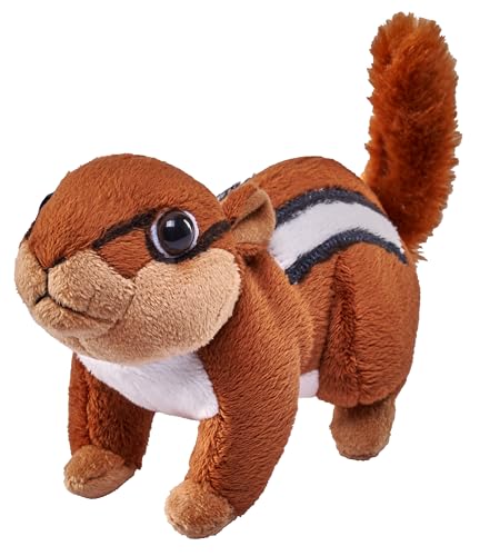 Wild Republic Pocketkins Eco Streifenhörnchen, Plüschtier, 12 cm, Plüschspielzeug, Hergestellt aus recycelten Materialien, Umweltfreundlich von WILD REPUBLIC
