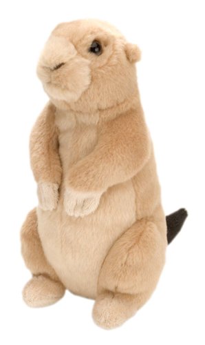 Wild Republic Präriehund, Cuddlekins Mini, Stofftier, Baby-Geschenk für Mädchen und Jungen, Kinder Plüschtier, Kuscheltier Für Babys, Spielzeug aus Recyclingmaterial, 20 cm Wild Republic Präriehund, Cuddlekins Mini, Stofftier, Baby-Geschenk für Mädchen und Jungen, Kinder Plüschtier, Kuscheltier Für Babys, Spielzeug aus Recyclingmaterial, 20 cm von WILD REPUBLIC