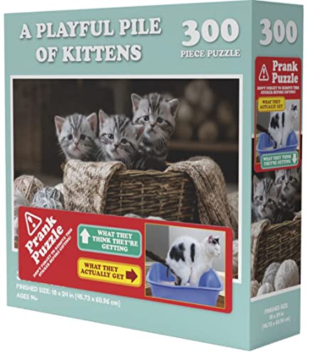Wilder Games Ein verspielter Haufen von Kätzchen, Streich-Puzzle – 300 Teile für Erwachsene, mehrfarbig, (WILD-161) von Wilder Games