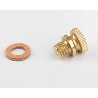 WILESCO 1504 Ölerschraube, Messing M6 für die Dampfmaschine D21 von Wilesco