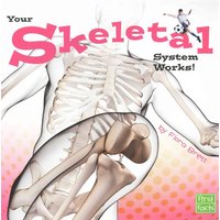 Your Skeletal System Works! von Wiley