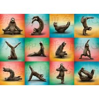 Sloth Yoga 1000-Piece Puzzle von Willow Creek Press