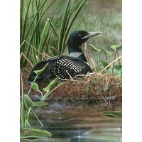 Symbol of the North 1000-Piece Puzzle von Willow Creek Press