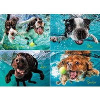 Underwater Dogs: Ruff Water 1000-Piece Puzzle von Willow Creek Press