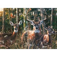 Woodlands Shadow 1000-Piece Puzzle von Willow Creek Press