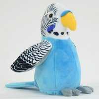 Laber Wellensittich, blau Laber Wellensittich, blau von Winfried Kögler GmbH