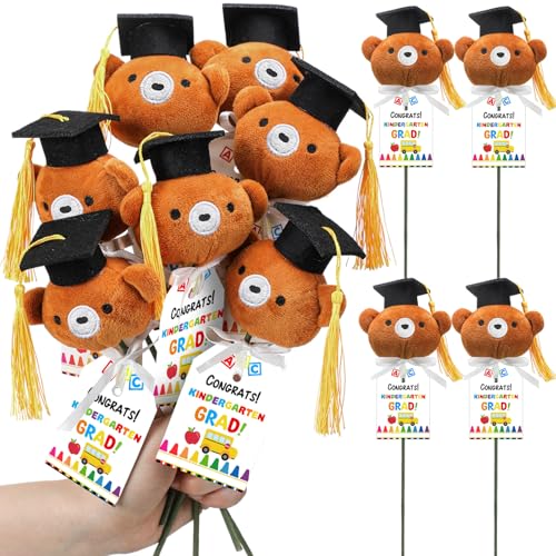 WinnerWhy 12 Sets Abschlussgeschenke, Bärenstrauß mit Karte, Schulende, Geschenke für Schüler, Mini-Plüsch-Bär für 2025, Vorschule, Kindergarten, Klasse WinnerWhy 12 Sets Abschlussgeschenke, Bärenstrauß mit Karte, Schulende, Geschenke für Schüler, Mini-Plüsch-Bär für 2025, Vorschule, Kindergarten, Klasse von WinnerWhy