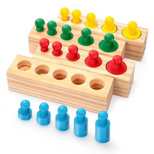 Montessori Zylinderblöcke Steckpuzzle Spielzeug, 20 Knöpfe Blöcke Einsatzzylinder, Sortierspiel & Steckspiel Regenbogen Holzpuzzle, Lernspielzeug Zylinder Buchse für Kinder die frühe Entwicklung von Wisplye